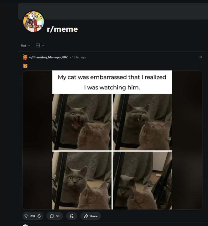 reddit meme hub